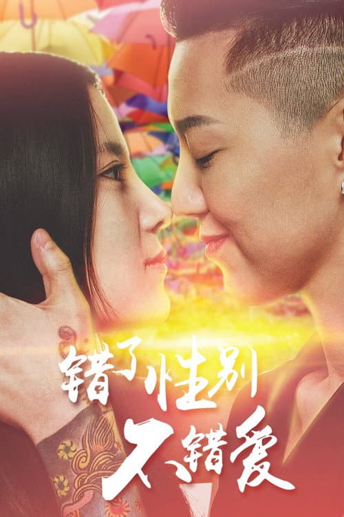 Wrong Gender, Right Love poster